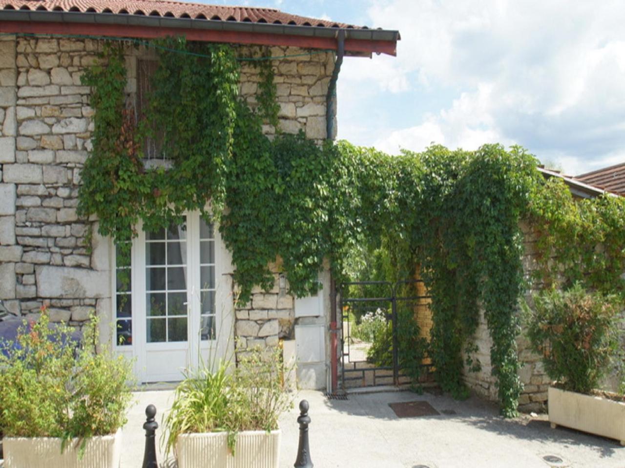 Hotel Chez Michel Oyonnax Exterior foto